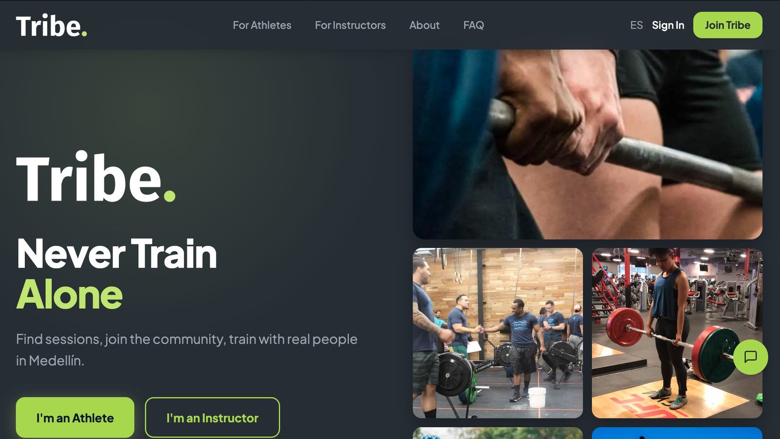 Tribe case study